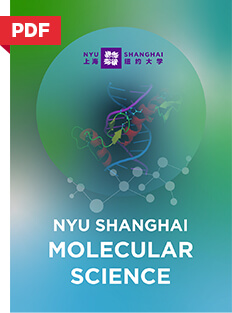 NYU Shanghai Molecular Science