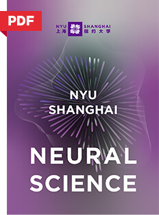 NYU Shanghai Neural Science