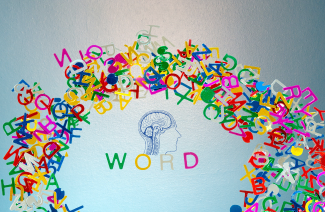 Researchers Revealed the Function of Delta-Band Neural Responses in Speech Comprehension